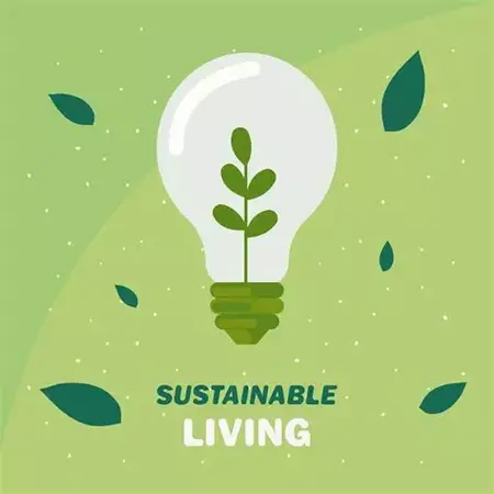 How to Make Your Home More Sustainable
