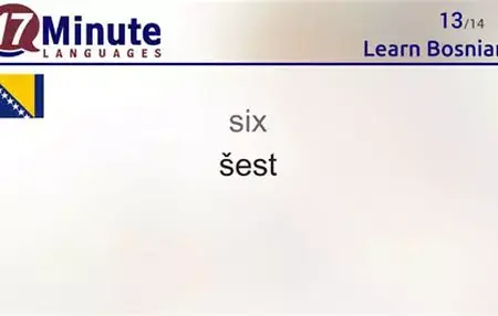 How to Learn to Speak Bosnian