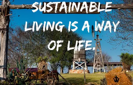 How to Live a More Sustainable Lifestyle