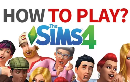 How to Play The Sims
