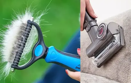 How to Get Rid of Pet Hair