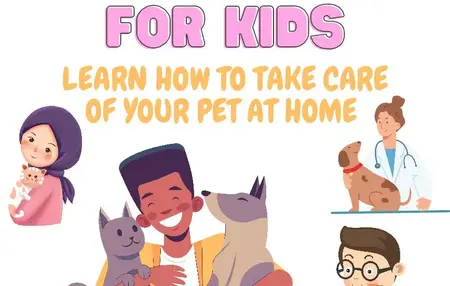 How to Take Care of Your Pets