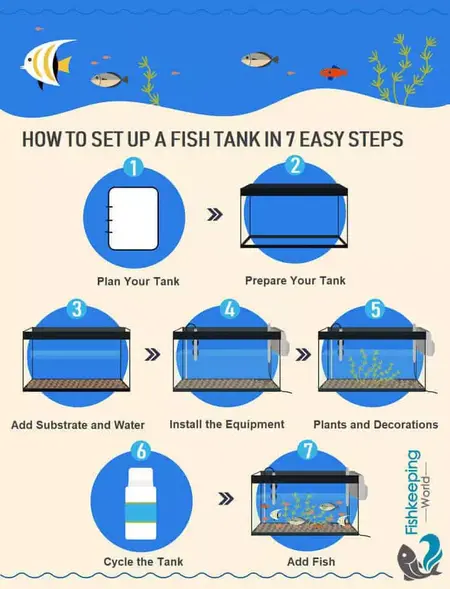 How to Set Up a Fish Tank