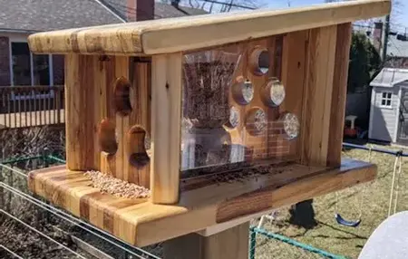 How to Make a Bird Feeder