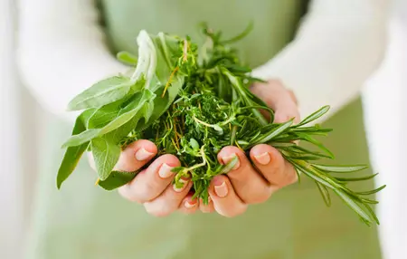 How to Cook with Herbs