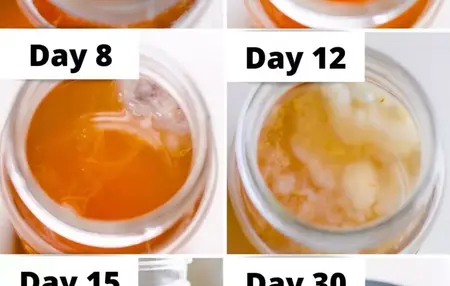 How to Make Kombucha Scoby