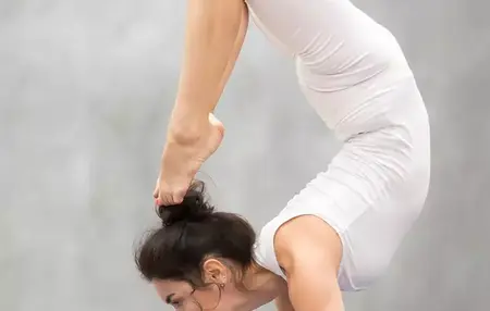 How to Learn to Use Asana