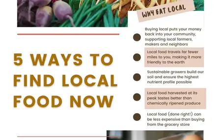 How to Find the Best Local Food