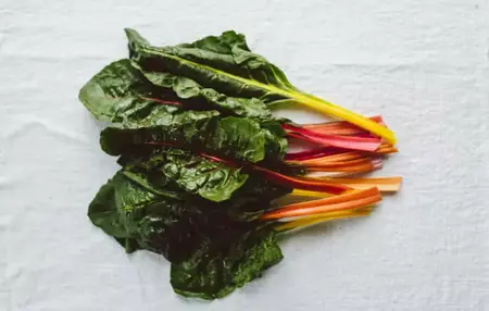 How to Reduce Brain Fog