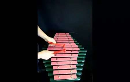 How to Learn to Play the Sansa