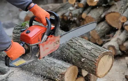 How to Use a Chainsaw
