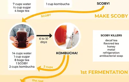 How to Make Kombucha Tea Cocktail