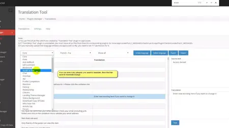 How to Use a Translation Tool