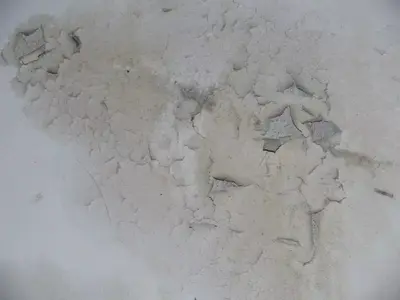 Dinding Lembap Berjamur? 5 Tips Atasi di Musim Hujan!