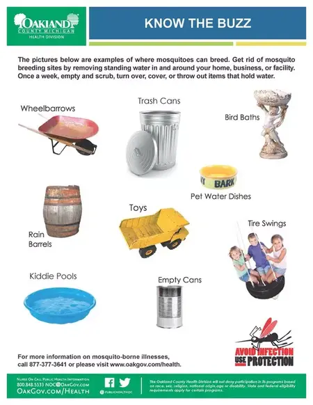 How to Get Rid of a Mosquito