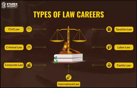 How to Get a Job in the Law Industry