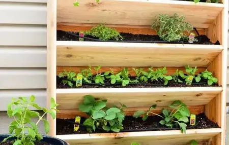How to Make a Vertical Garden