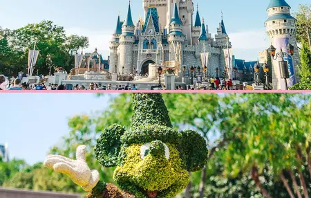 How to Make the Most of Your Time at Disney World