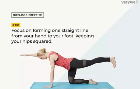 How to Do a Bird Dog