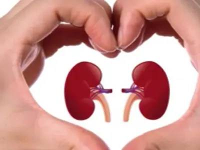 Detoksifikasi Ginjal: Panduan Lengkap Menjaga Kesehatan Ginjal