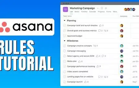 How to Use Asana for Project Management