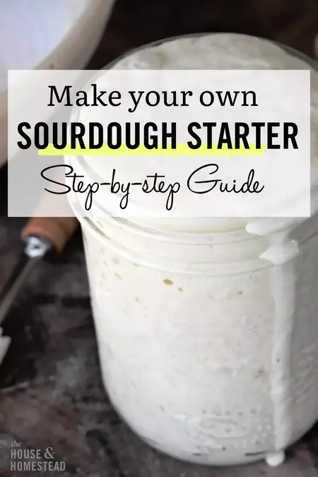 How to create a sourdough starter