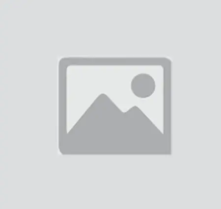 How to Back Up Google Photos