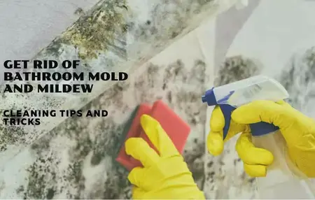 How to Remove Mildew from Bathroom