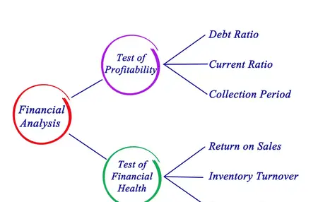 How to Use a Financial Analysis Tool