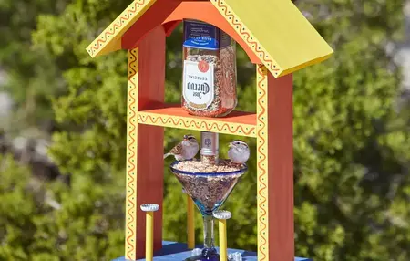 How to Make a Bird Feeder