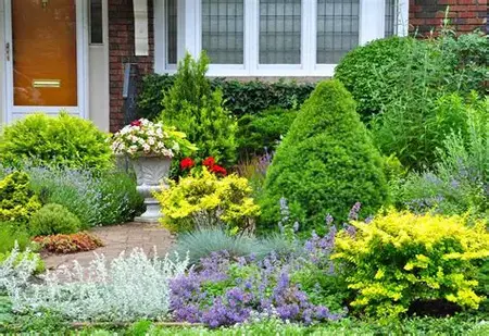 How to Landscape Your Yard