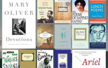 How to Learn About Poetry