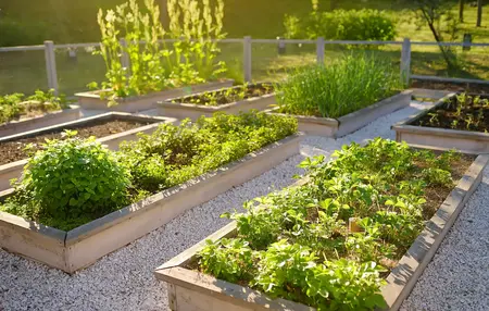 How to Grow a Sustainable Garden