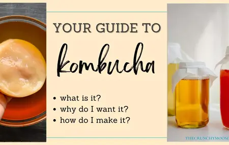 How to Make Kombucha Shampoo