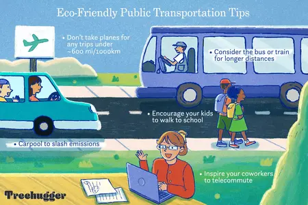 How to Use Public Transportation