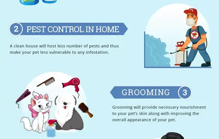 How to Take Care of Your Pet