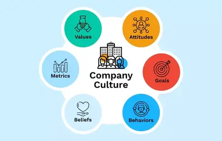 How to Build a Strong Company Culture