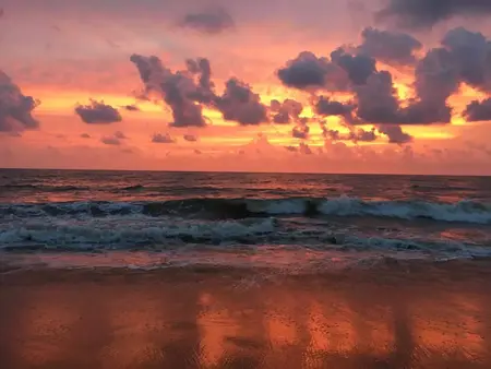 How to Learn to Code in 30 Days