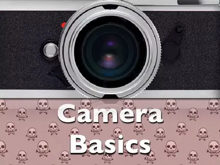 How to Use a Camera