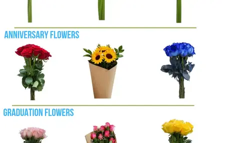 How to Choose the Right Flowers