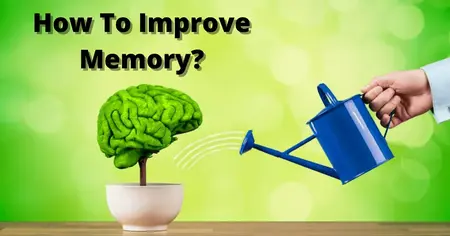 How to Improve Your Memory