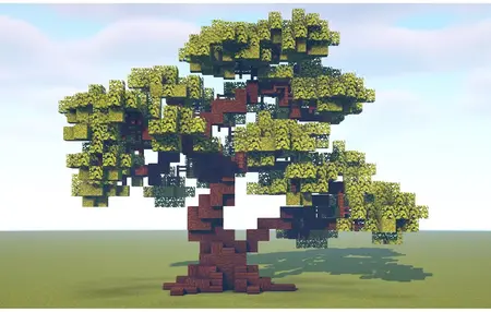 How to Build a Bonsai Tree