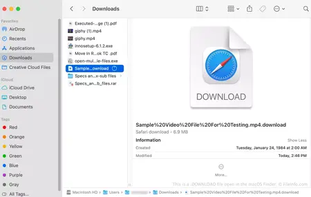 How to Download a File