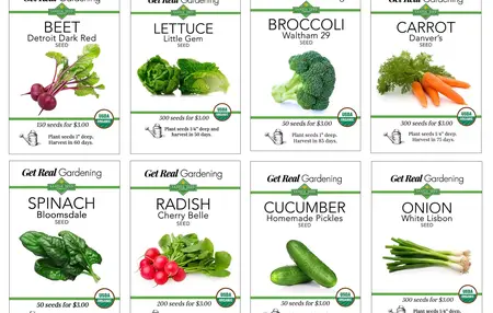 How to start a vegetable garden from seed