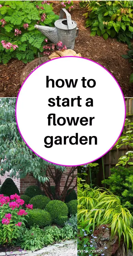 How to Start a Flower Garden