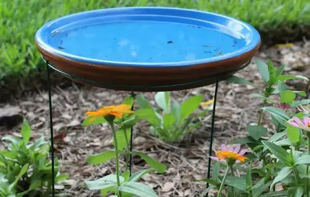 How to Make a Bird Bath