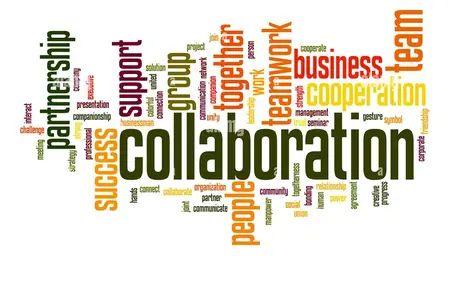 How to Use Microsoft Word for Collaboration