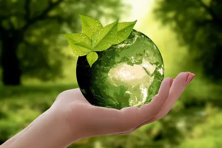 How to Be More Environmentally Conscious