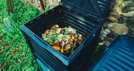 How to Use a Compost Bin