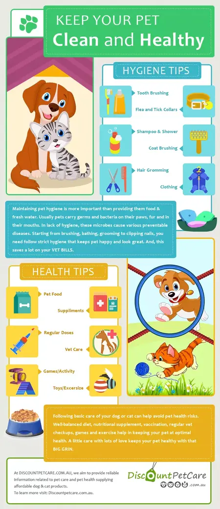 How to Keep Your Pet Healthy
